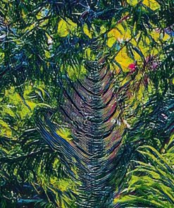 Nature’s Weave